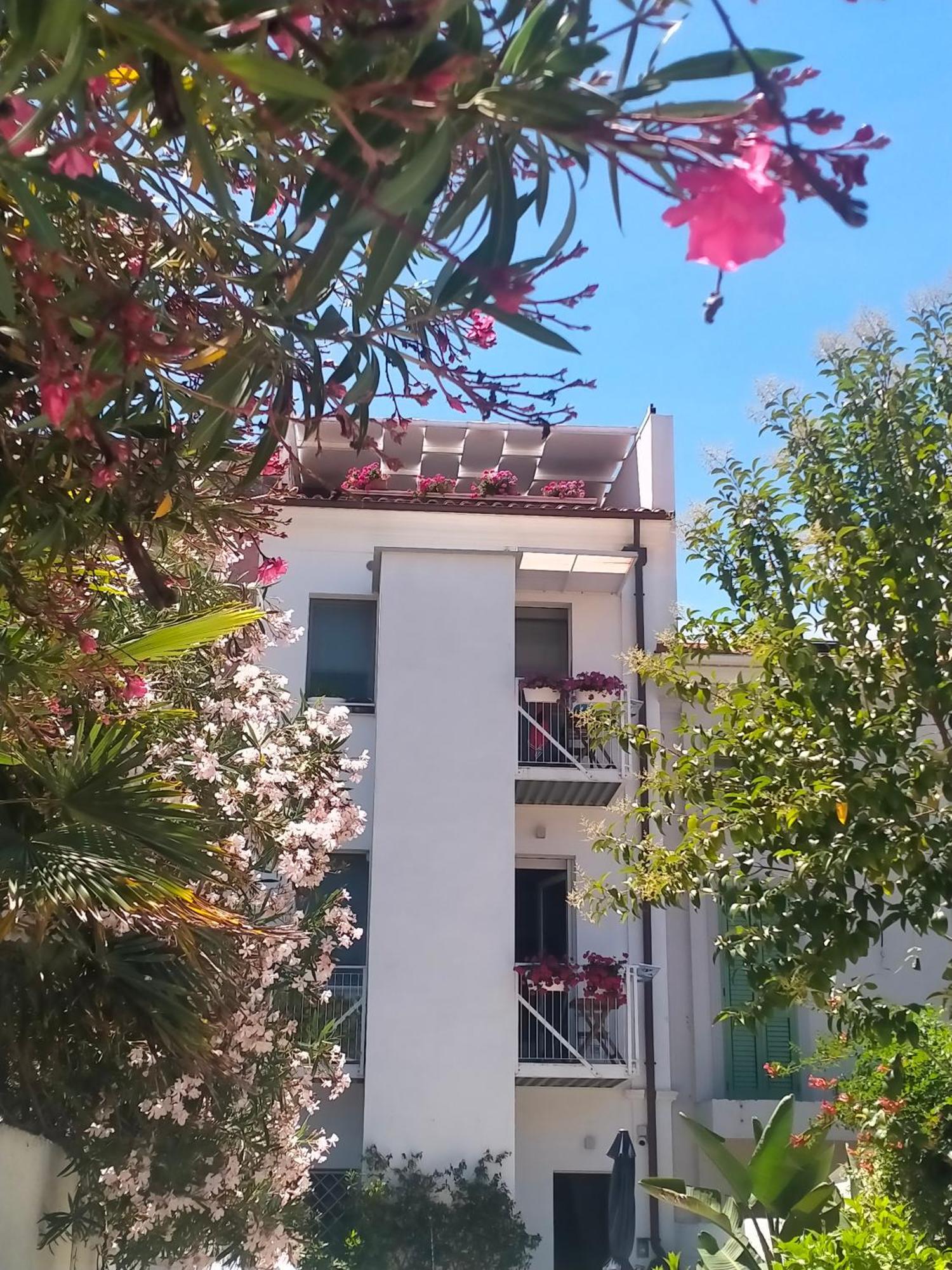 B&B Previsto Sole Civitanova Marche Kültér fotó